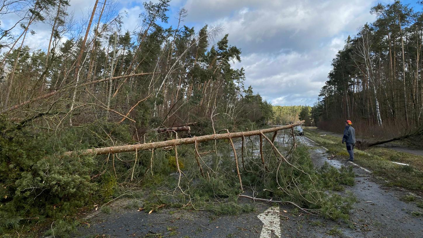 Sturm "Sabine" sorgte bereits am Montag für viele umgestürzte Bäume in ganz Franken.