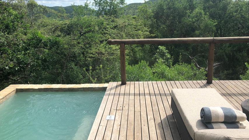 Was für eine Aussicht im Bungalow der Phinda Mountain Lodge von "And Beyond"! Da kann auch mal ein Nyala, eine Antilopenart, auf der Terrasse vorbeischauen.
Was für eine Aussicht im Bungalow der Phinda Mountain Lodge von "And Beyond"! Da kann auch mal ein Nyala, eine Antilopenart, auf der Terrasse vorbeischauen.