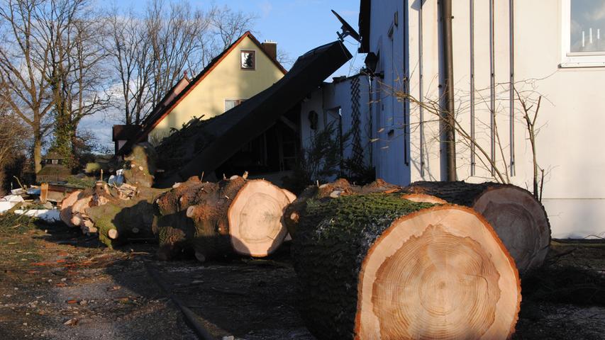 15 Meter langer Baum begräbt Garage in Katzwang unter sich