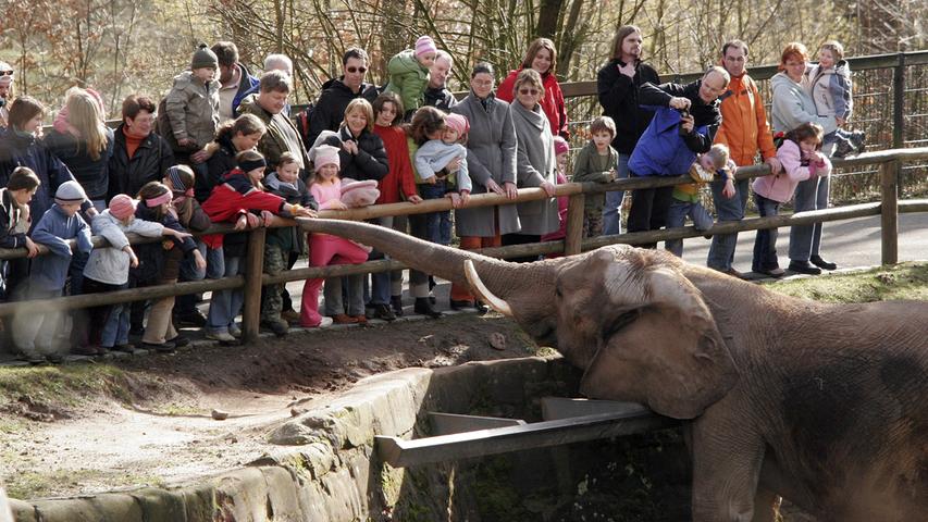 Dieses Bild stammt aus dem Jahr 2007. Noch sammelten sich die Besucher vor dem Gehege, kurze Zeit später verließ der letzte Elefant den Schmausenbuck.