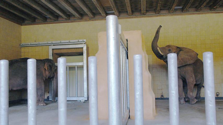 2003 wurde das Elefantenhaus erweitert - nach dem Ende der Baumaßnahmen bezogen die Elefantendamen Kiri und Yvonne ihr neues, altes Zuhause.