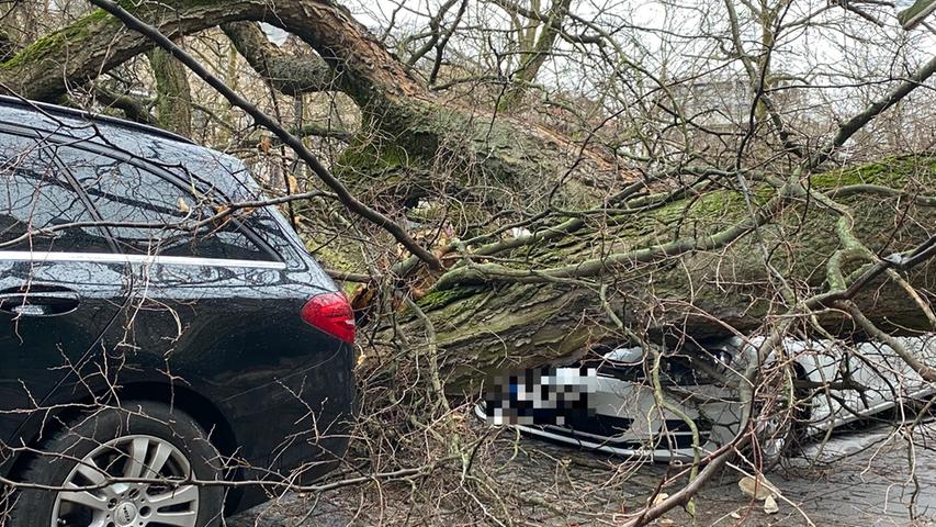 Verwüstung an der Freiheit: Massiver Baum kracht in Fürth auf Autos