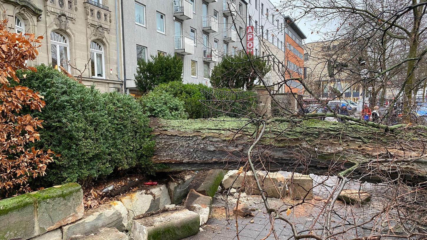 Glücklicherweise befanden sich keine Menschen auf diesem Gehweg, als der Baum stürzte. Glücklicherweise befanden sich keine Menschen auf diesem Gehweg, als der Baum stürzte.