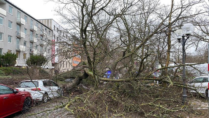 Verwüstung an der Freiheit: Massiver Baum kracht in Fürth auf Autos