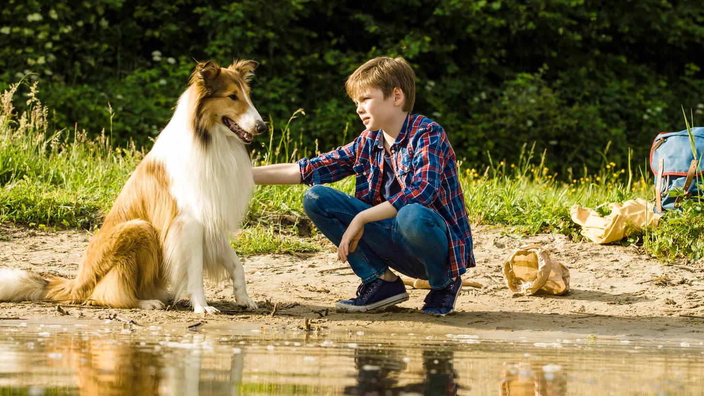 Heute kommt Lassie in die Kinos. Und danach? Wünschen sich womöglich viele Kinder einen Collie.