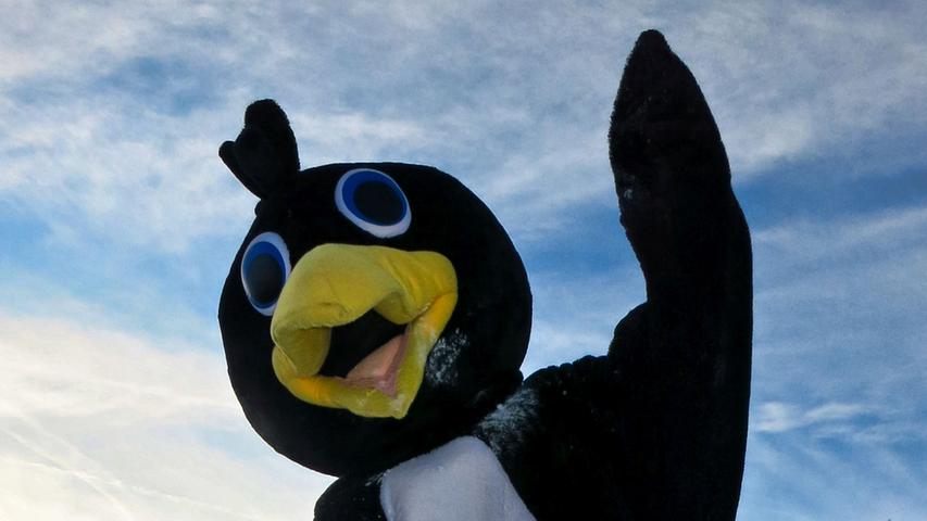 Pinguin Bobo: Ein Skischul-Maskottchen in vollem Einsatz