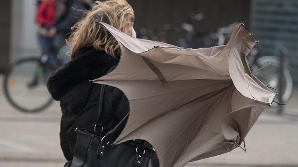 urn:newsml:dpa.com:20090101:200213-99-901225