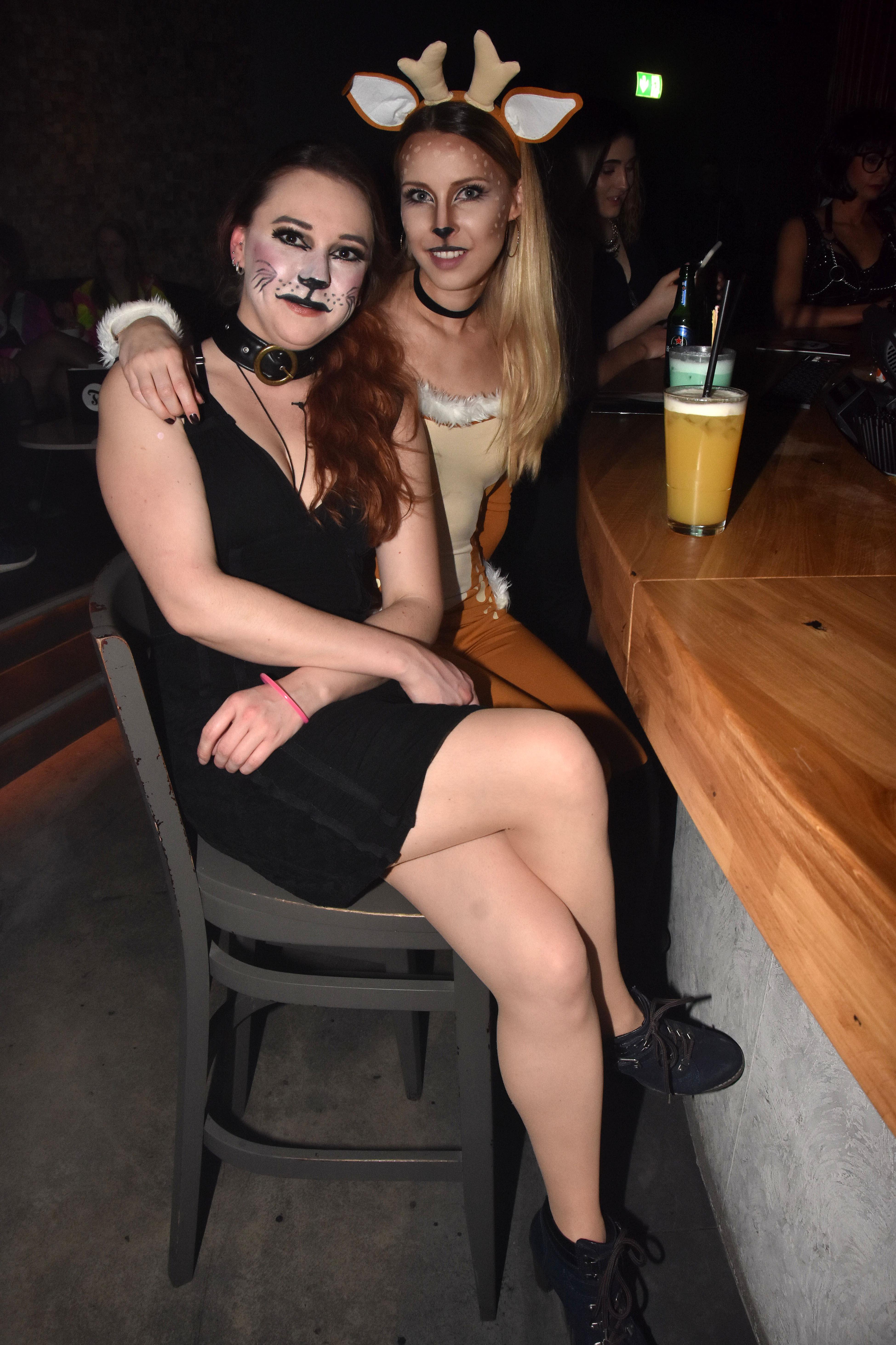 Frech und frivol: Der Pornofasching in der Fürther 