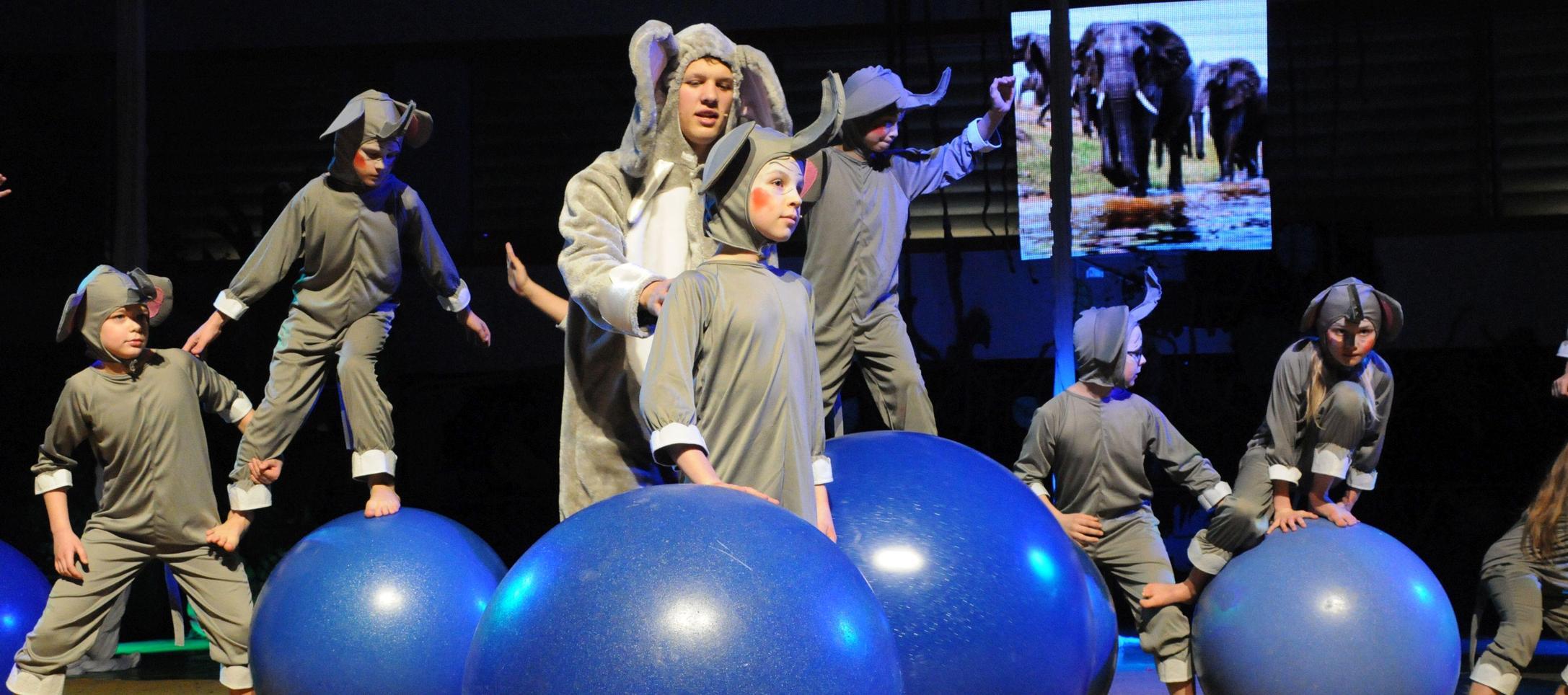 Tanz Ballett Und Circus Dschungelbuch Im Artico Neumarkt Nordbayern