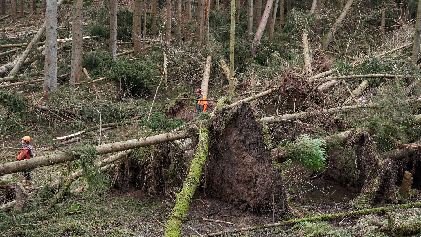 Stürme in Orkanstärke haben dem Wald in Deutschland (wie hier im Westerwald in Rheinland-Pfalz) zuletzt schwer zugesetzt.