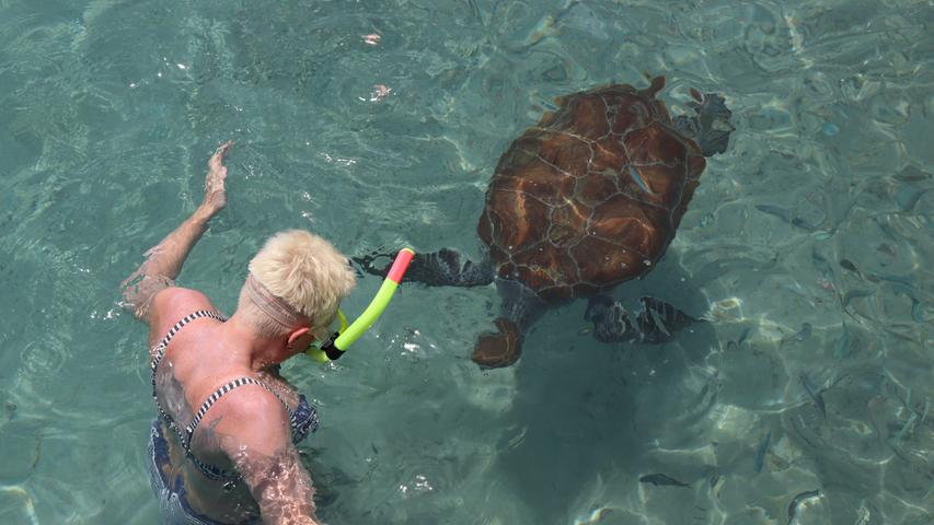 An der Playa Grandi kommen Meeresschildkröten so nahe, dass man vom Strand aus mit ihnen schwimmen kann.