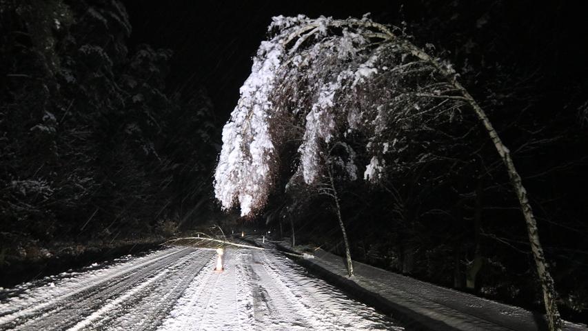 Am Donnerstagabend und in der Nacht zum Freitag wütete Tief "Bianca" mit jede Menge Schnee und starken Windböen in der Region. Zahlreiche Bäume gaben unter der Last der Massen nach oder knickten wegen der heftigen Böen um.