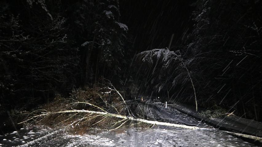 Zahlreiche Straßen in der Region waren wegen der Schneemassen sowie umgestürzter Bäume nicht mehr befahrbar...
