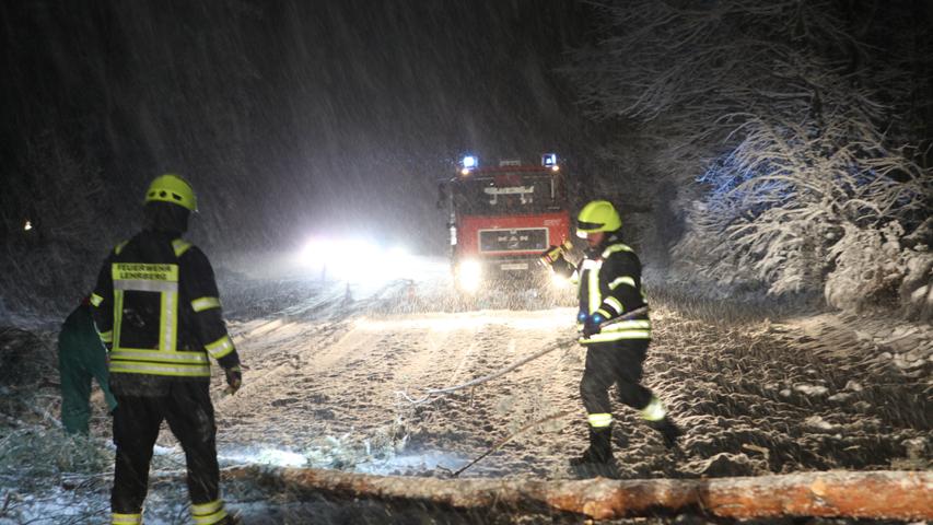 Ausgerüstet mit Taschenlampen beseitigte die Feuerwehr Lehrberg zahlreiche Bäume.