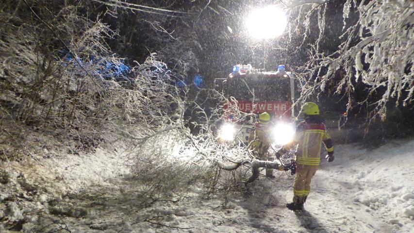 Am Donnerstag verzeichnete die Feuerwehr Neustadt neun Schnee-Einsätze in der Zeit von 20.30 bis 2.06 Uhr. In allen Fällen waren Bäume oder Baumteile auf Straßen gestürzt. In einem Fall kam ein Baum auf einer Telefon-Freileitung zum Liegen.
