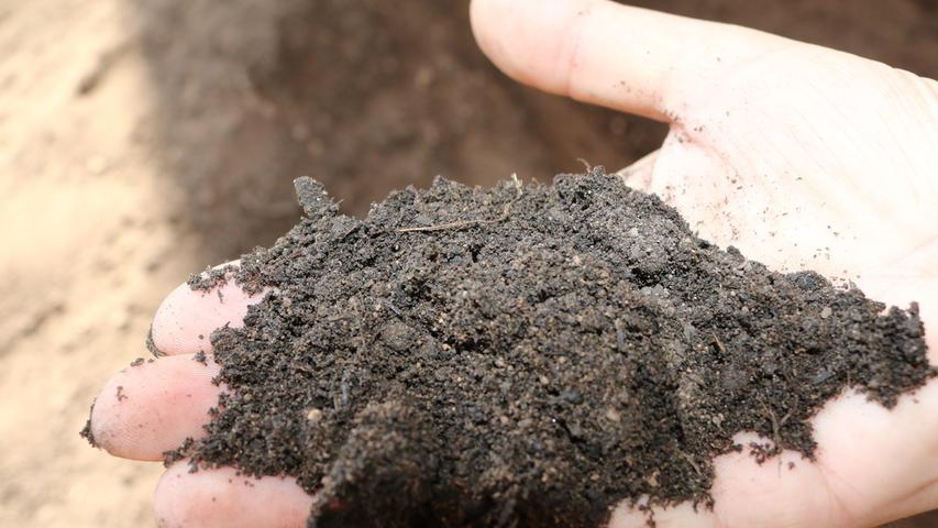 Je nachdem, was das Ergebnis der Bodenuntersuchung ergeben hat, sollte man im März seinen Boden mit Kompost düngen . Es kommen etwa drei Liter Kompost auf einen Quadratmeter . Außerdem ist es ratsam, den Boden schonend bearbeiten, bevor Sie etwas aussäen oder pflanzen. Dazu harkt man liegengebliebenen Mulch beiseite, lockert die Erde und r upft Unkraut aus . Zum Schluss wird das Beet glatt geharkt. Ein nicht umgegrabener Boden, insbesondere wenn er mit Gründünger im Herbst bestellt wurde, trocknet und erwärmt sich langsamer. Beginnen sollte man mit der Bearbeitung aber erst, wenn der Boden trocken und warm geworden ist. Solange die Erde an den Gartenstiefeln kleben bleibt, ist es noch zu früh.