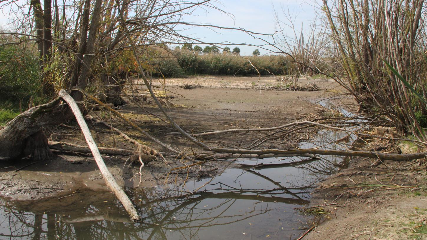 Seit November 2019 war der Quelltopf der Aisch bei Burgbernheim komplett leer. Auf einer Strecke von etwa einem Kilometer führte der Fluss praktisch kein Wasser mehr, wie hier zu sehen. Seit November 2019 war der Quelltopf der Aisch bei Burgbernheim komplett leer. Auf einer Strecke von etwa einem Kilometer führte der Fluss praktisch kein Wasser mehr, wie hier zu sehen.