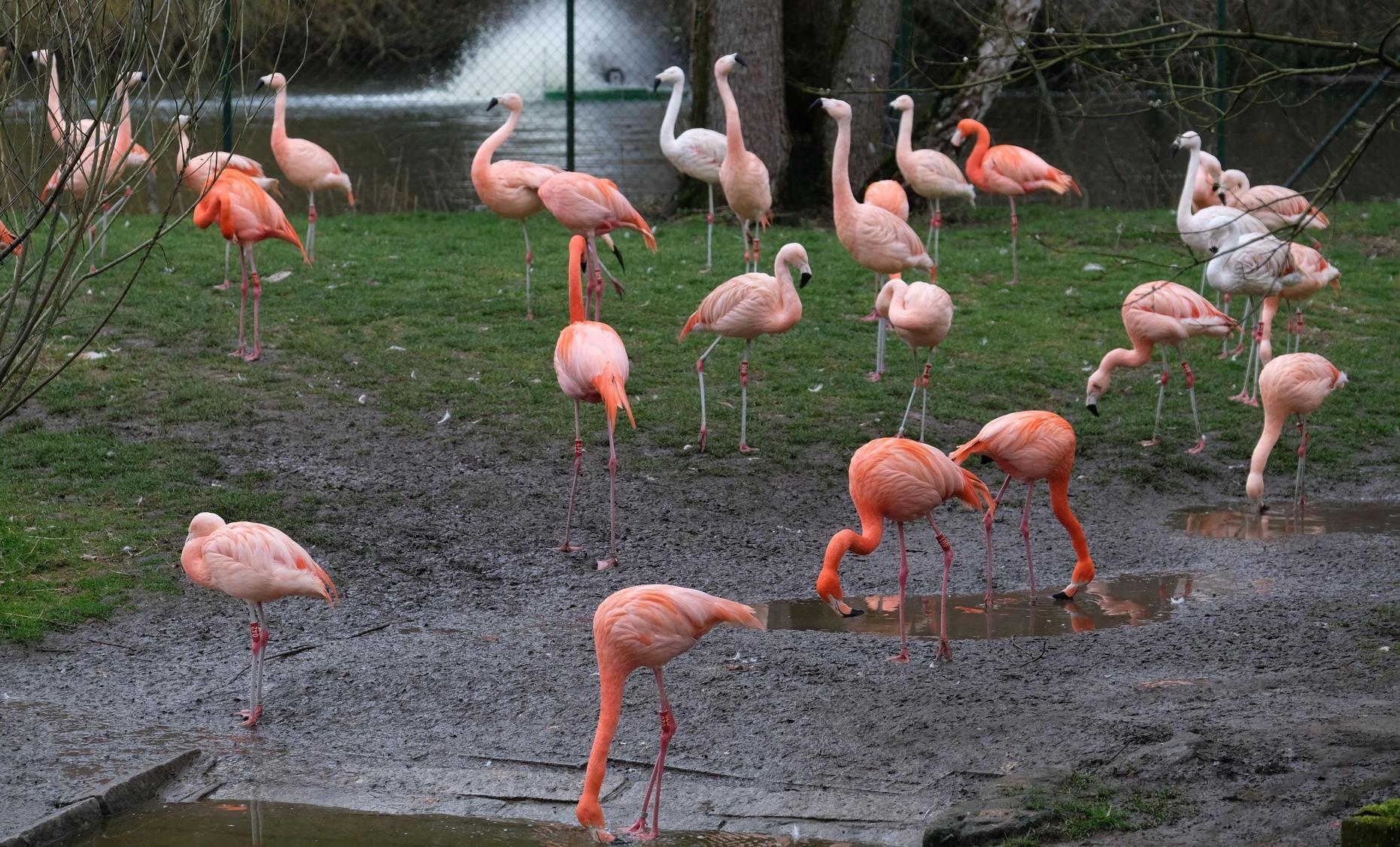 Flauschig und süß: Der Tiergarten steht bei Bloggern und Influencern hoch im Kurs. Der Grund: Die Tiere im Hintergrund sorgen für noch mehr Likes. Schließlich hat nicht jeder in der Timeline Äffchen oder Flamingos hinter sich. #cute