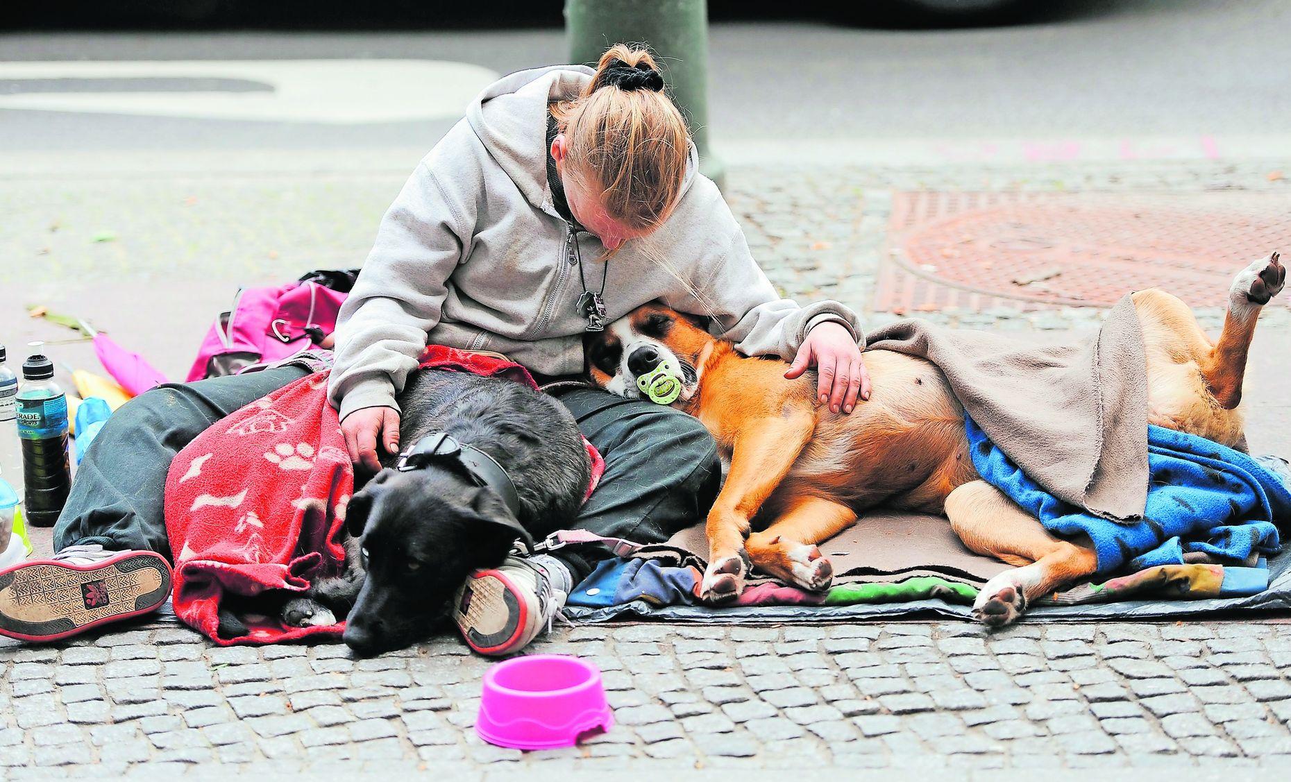 Weg Von Der Strasse Heim Fur Obdachlose Mit Hunden Geplant Nurnberg Nordbayern De