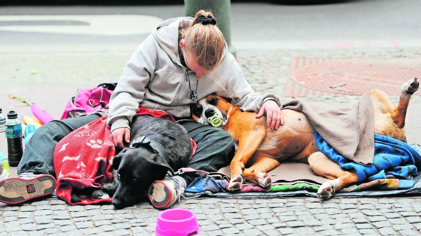 Weg von der Straße: Heim für Obdachlose mit Hunden geplant