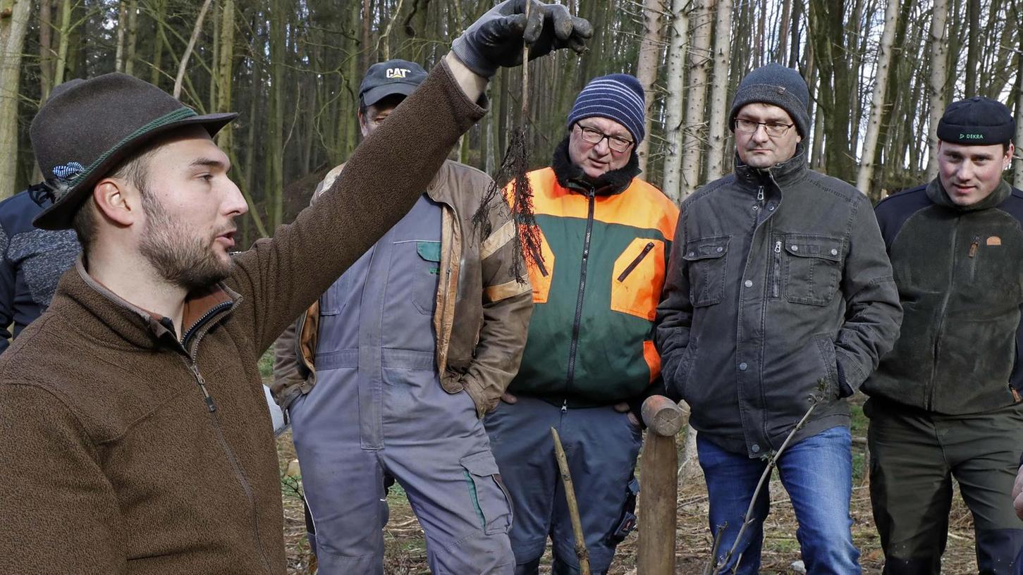 Klimatolerante Wälder sind das Ziel: Tipps für Waldbesitzer in Pinzberg