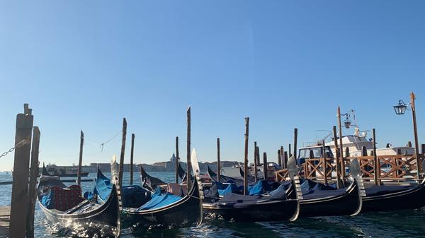Weniger Gäste, weniger Gondelfahrten. Was sich zunächst als negative Entwicklung für die Tourismusbranche äußert, zeigt mittlerweile einen positiven Effekt auf die Umwelt. Die Kanäle der Stadt werden durch die seltenere Nutzung sauberer.