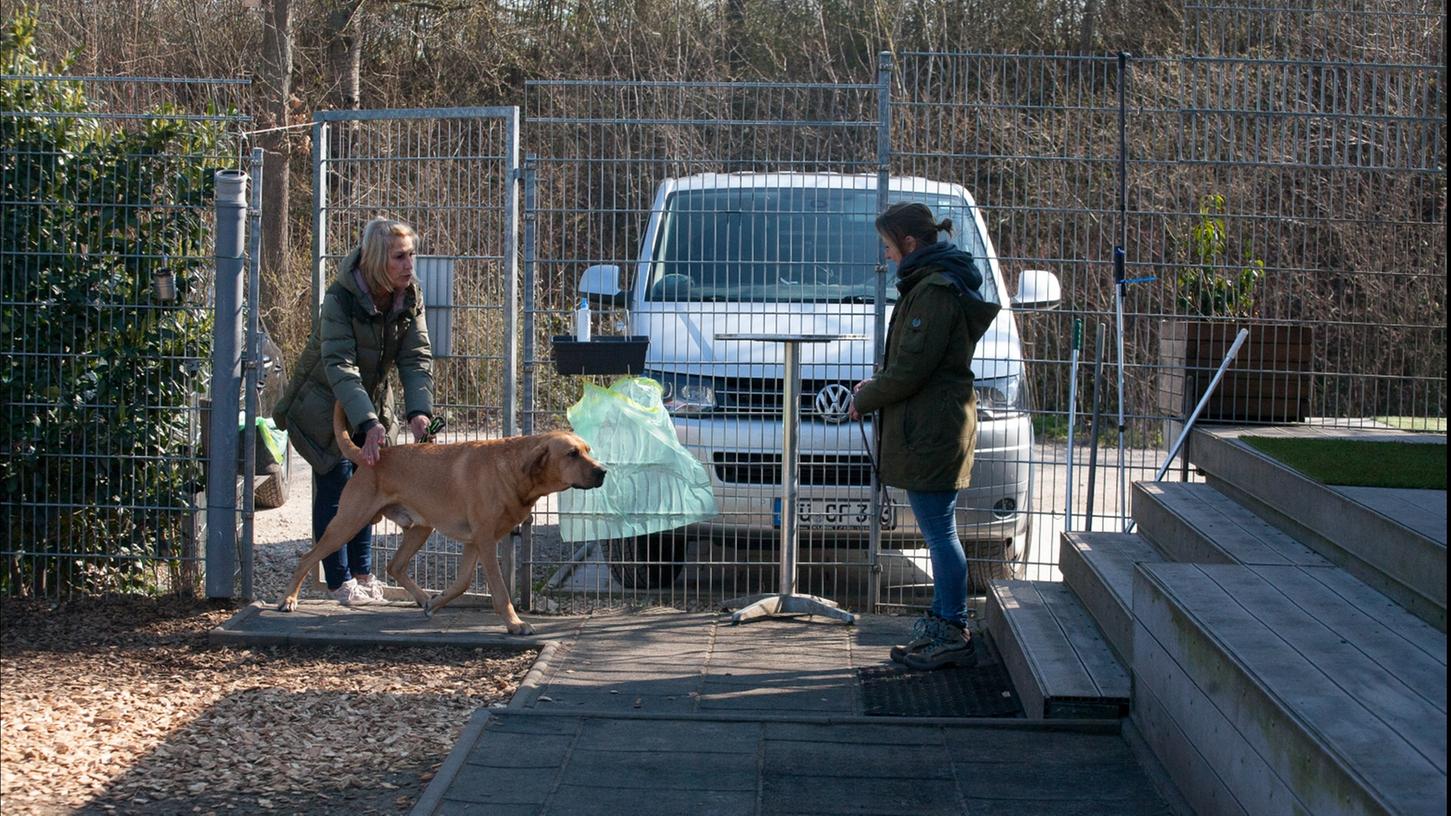 Ab in die Tagesbetreuung: Die Situation wurde von den Mitarbeiterinnen des Hundezentrums, Silvia Kadic (links) und Nicole Reinhold, nachgestellt. Dem Broholmer namens Brego wird an der Tür vom Halter sein Halsband abgenommen, er kommt auf das Hundeschulgelände und wird dort in Empfang genommen.