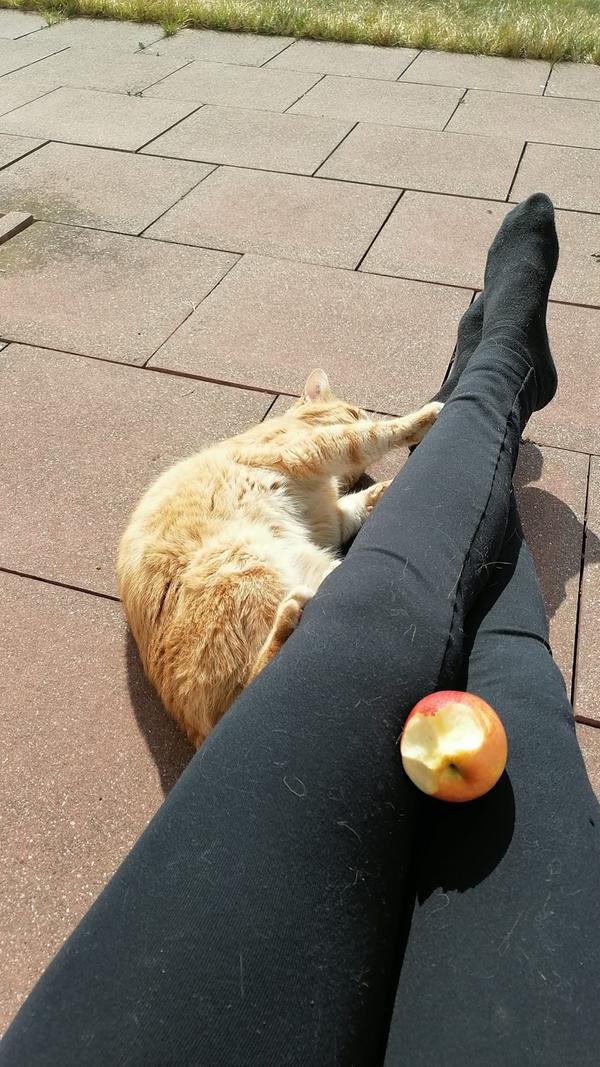 Keiner hat behauptet, man könnte Homeoffice nicht auch ganz einfach genießen, vor allem bei so schönen Frühlingstagen. Wozu hat man schließlich den eigenen Garten direkt vor der Haustür?
