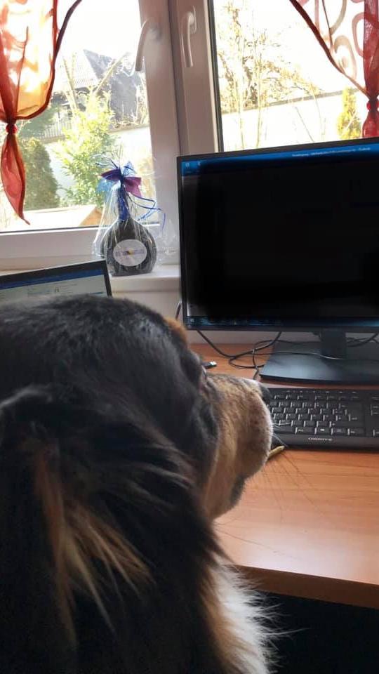 Auch im Homeoffice ist Arbeitsteilung gefragt. Gut wenn sich die Spätschicht schon direkt so motiviert an die Übergabe setzt. Da kann der Feierabend kommen.
