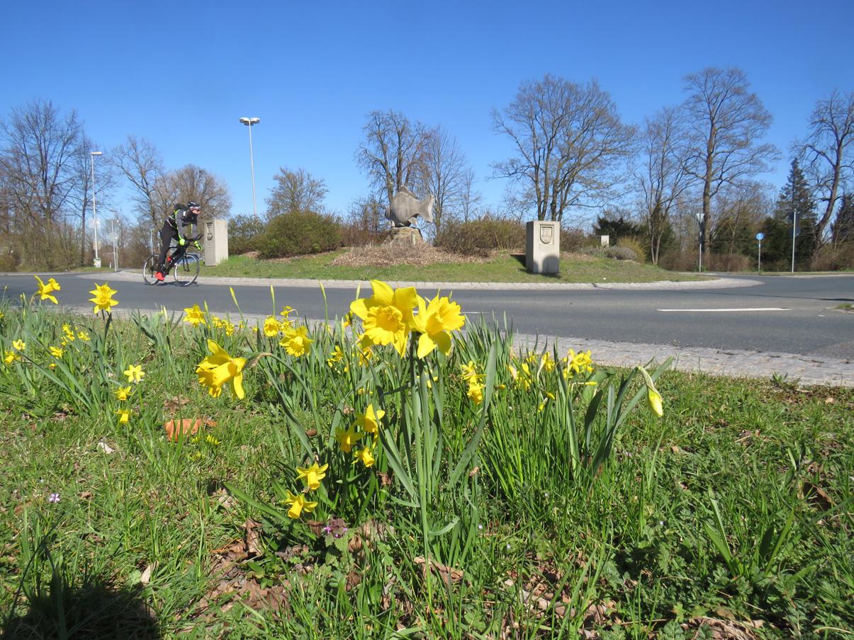 Auch Steinkarpfen Fridolin wird kaum noch von Autos umfahren.