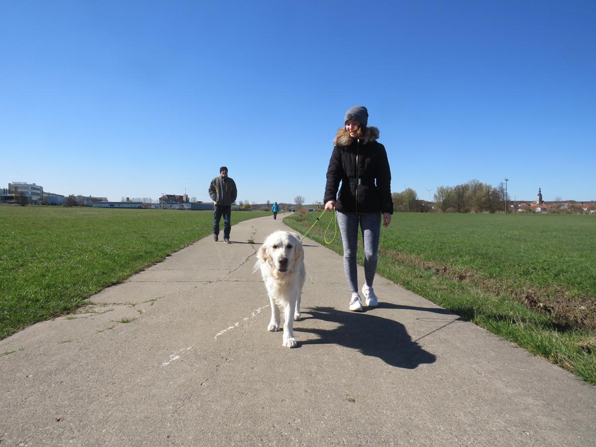 Einzelne Spaziergänger sieht man in den Aischwiesen.