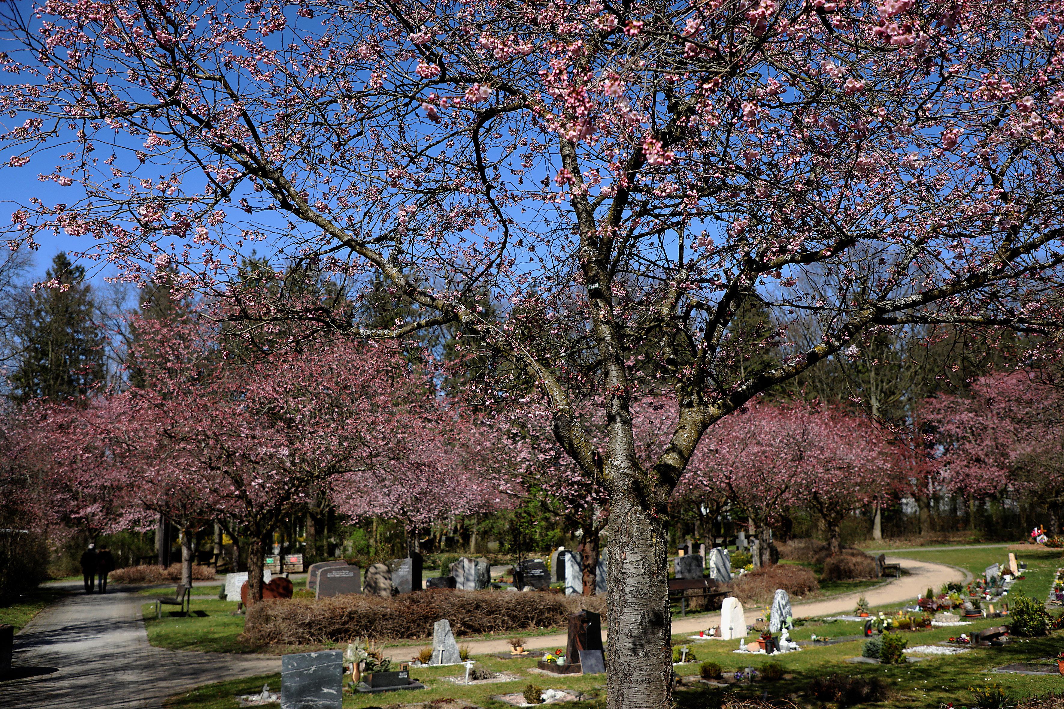 Neuer Friedhof Forchheim