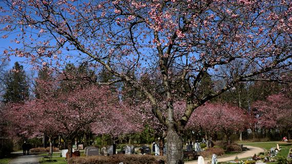 Ein Rundgang über Forchheims Neuen Friedhof im Frühling