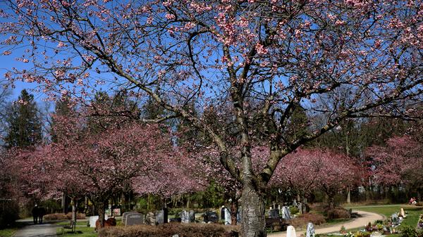 Neuer Friedhof Forchheim