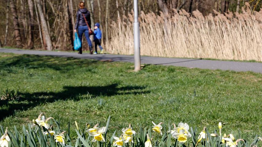 Der Frühling trotzt Corona: Es blüht in Heroldsberg