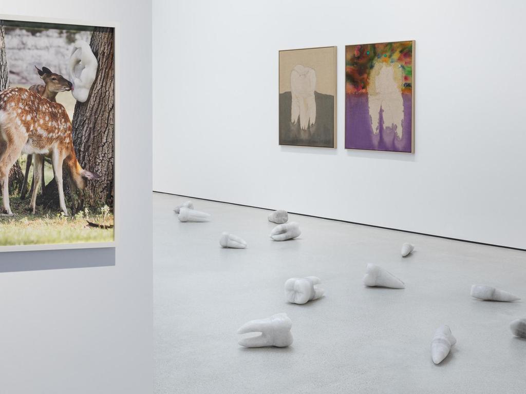 Gansbräu-Kronleuchter und Bambi: Kunst-Ausstellung auch im Internet