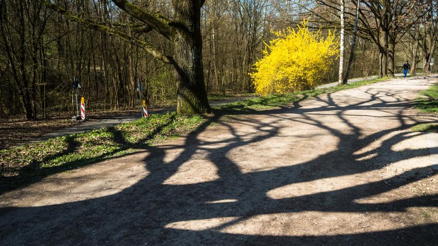 Frühlingshaftes Licht- und Schattengemälde am Süßheimweg in Nürnberg.
