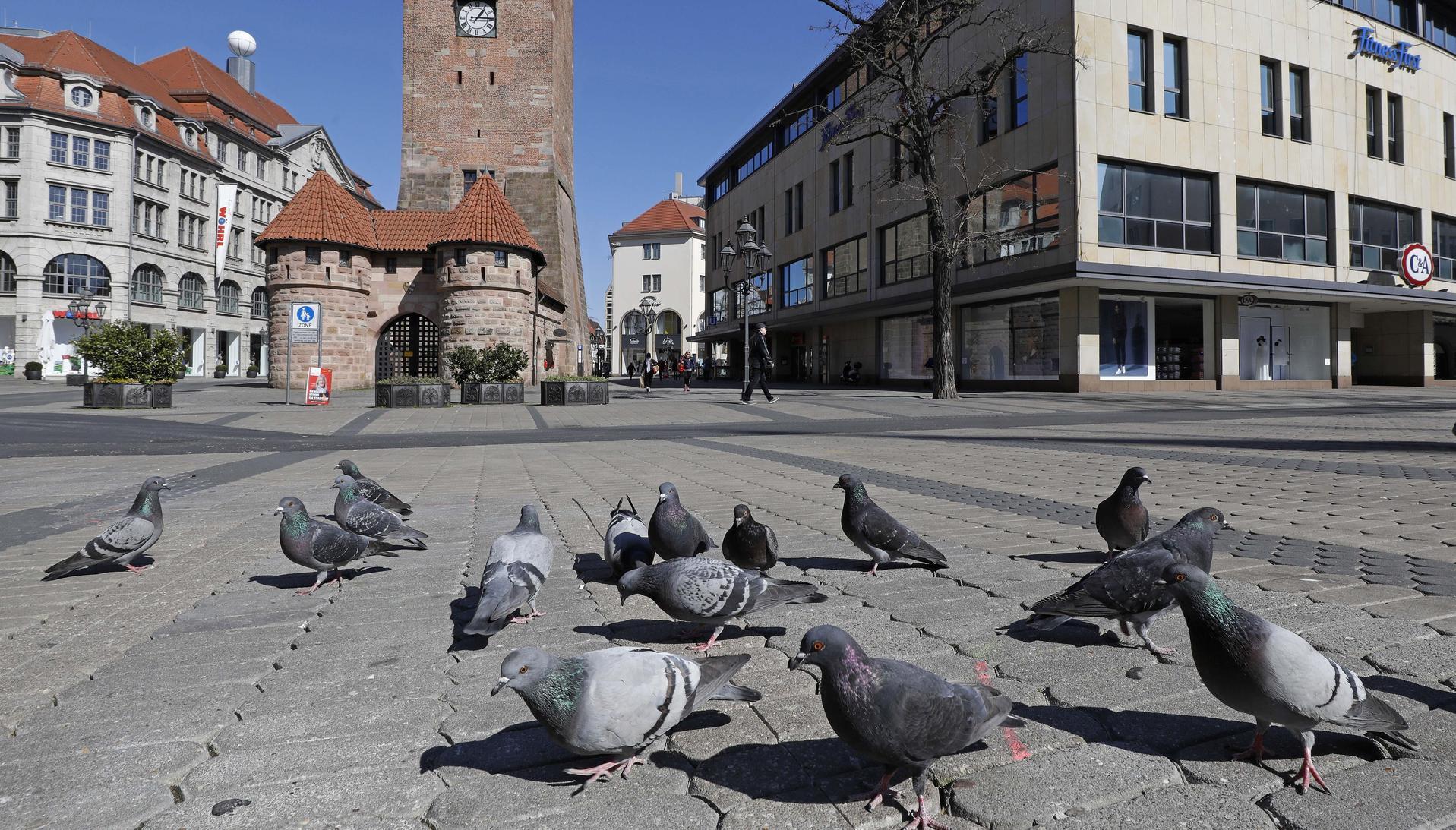 4C-ANZ-TAUBEN-BILD_WEB_OBJ14621787_1.JPG